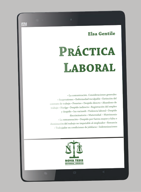 Prctica Laboral